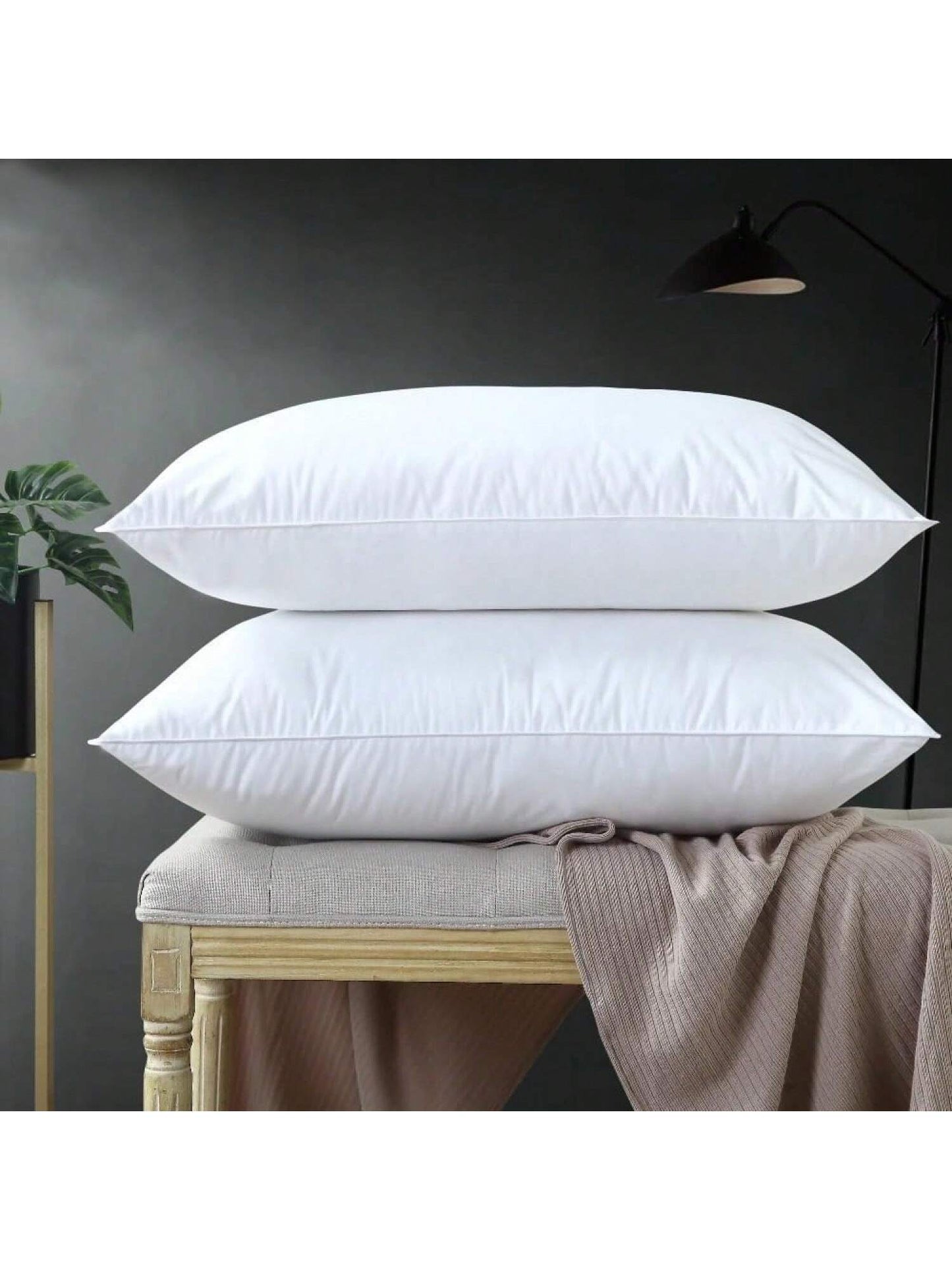Luxury Pillows Set of 2 Queen Size by Homehours