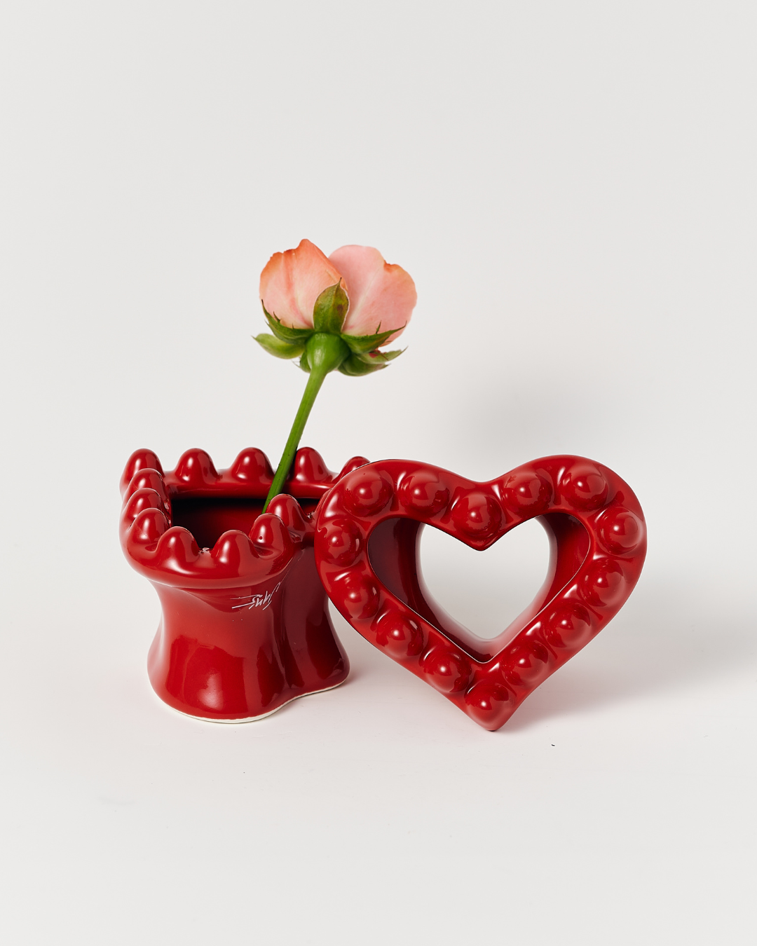 JANS Gua Sha Special