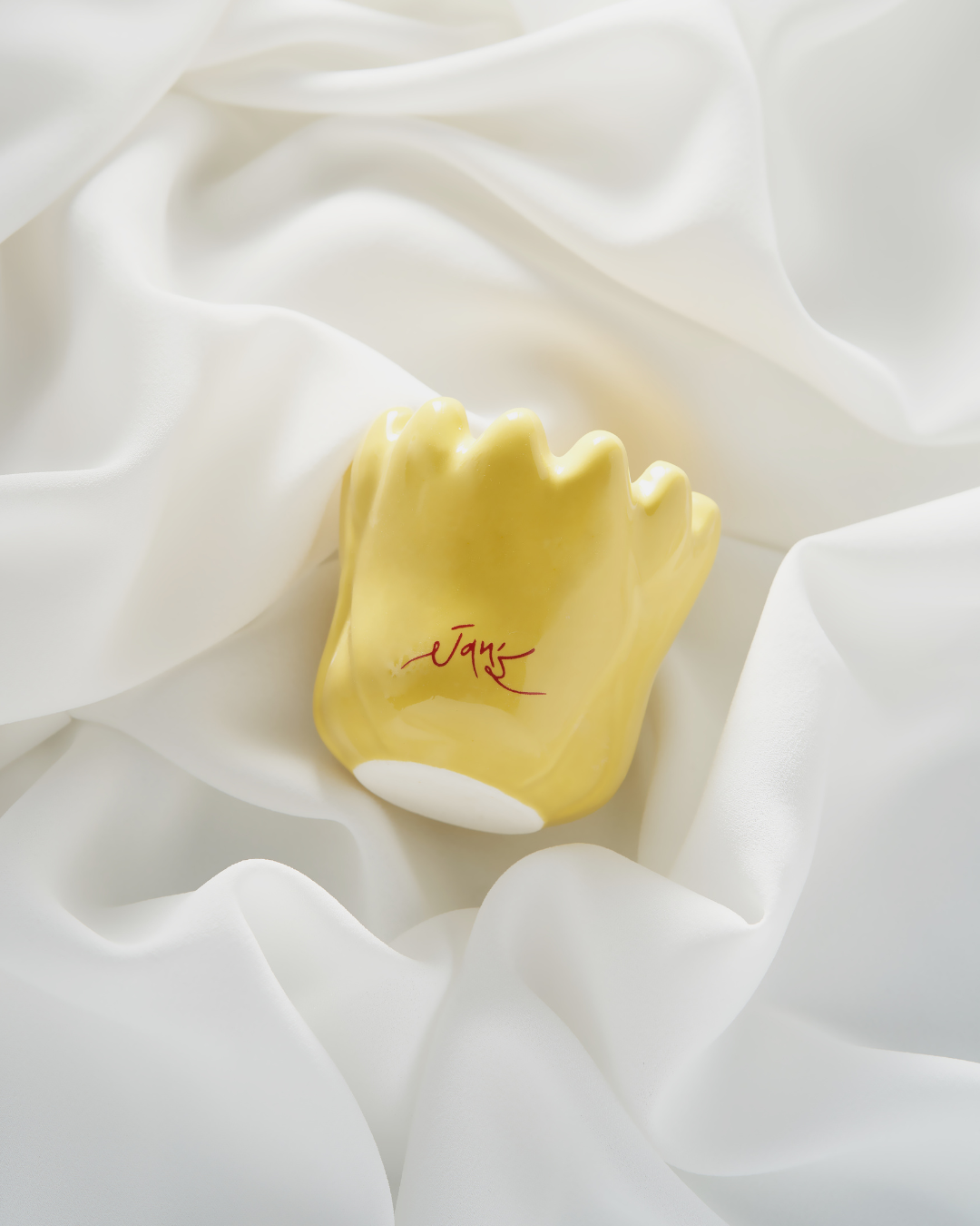 JANS Gua Sha Special