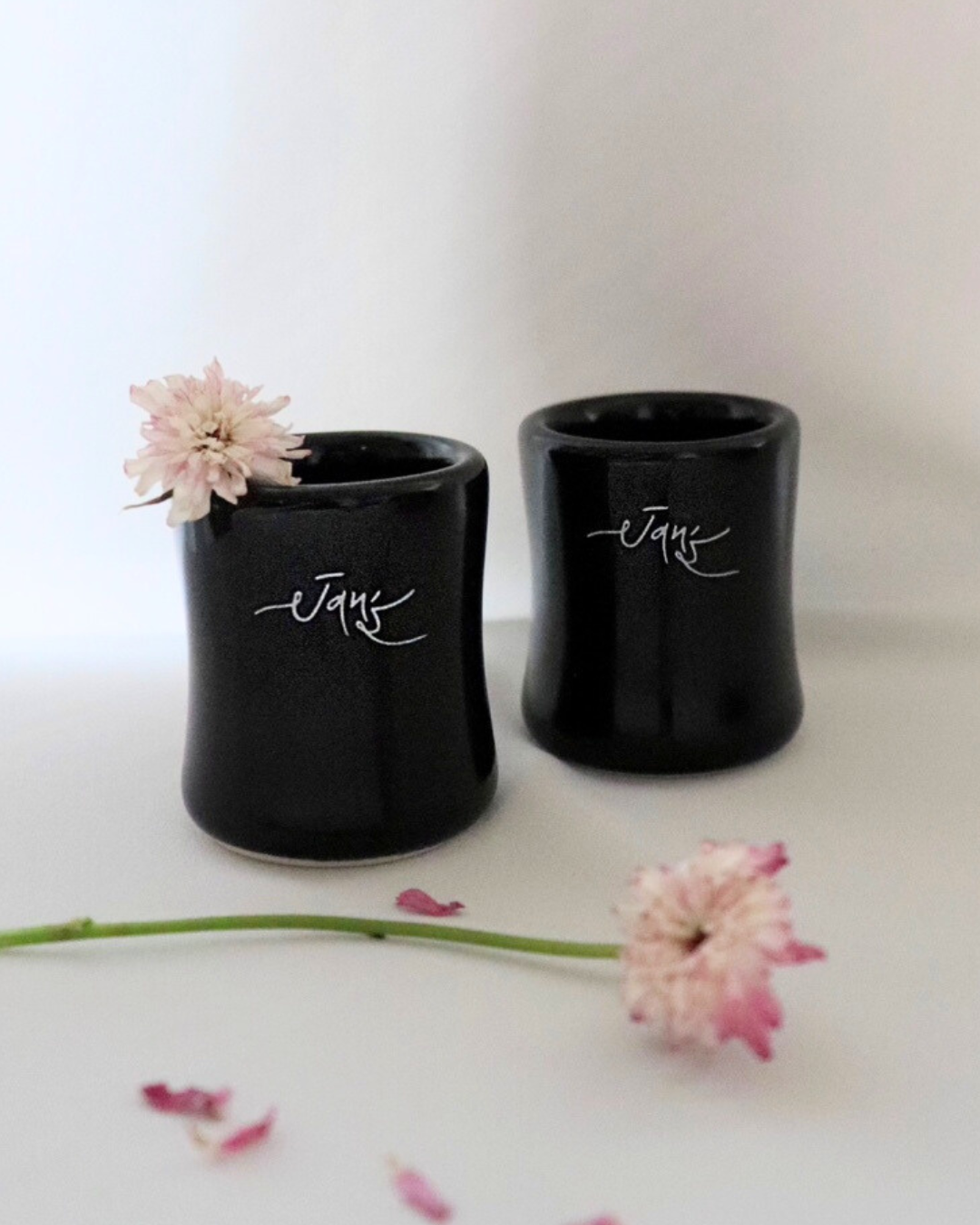 JANS Gua Sha Special