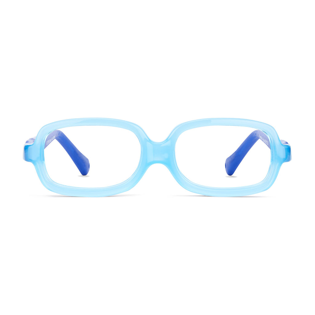 Nano Joey 3.0 Blue frame front view